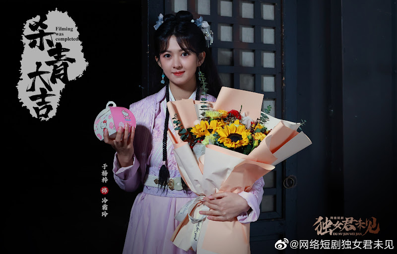 The Only Girl You Haven't Seen China Web Drama